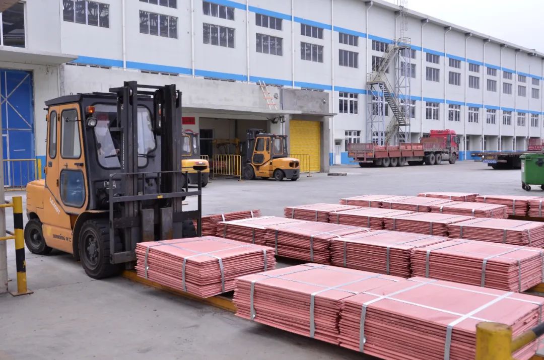 1702946266237442.jpg 1702946266237442.jpg