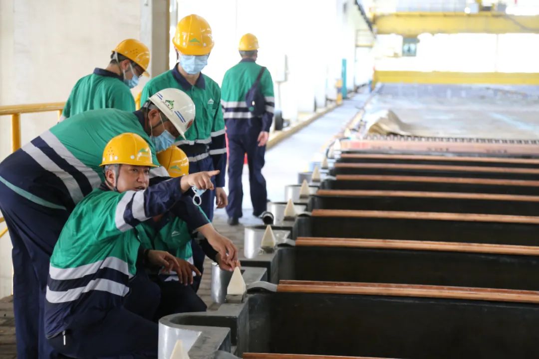 1702946398190392.jpg 1702946398190392.jpg